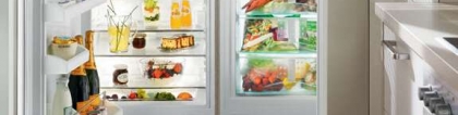内嵌式冰箱：嵌入式冰箱