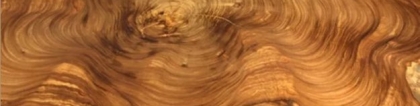 乌金木是什么木材：西非王子——乌金木系列